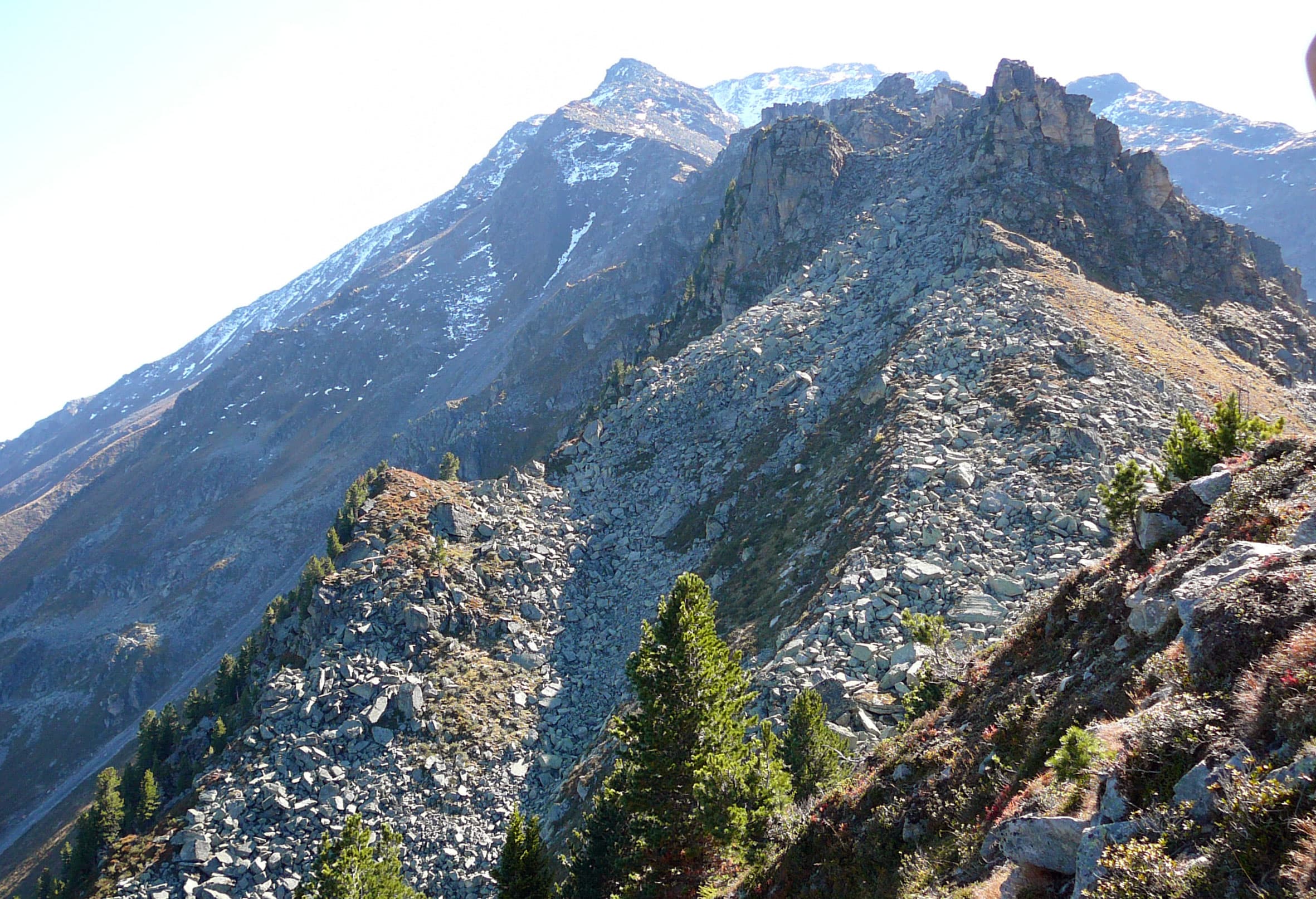 alpS Research Projects* A2.3, 1.3AC and ProMM