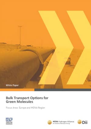 Cover of the white paper Bulk Transport Options for Green Molecules